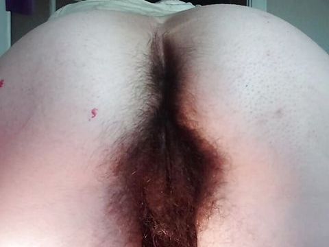 Free-FreePorn.com presents: Explore my hairy body from front and back